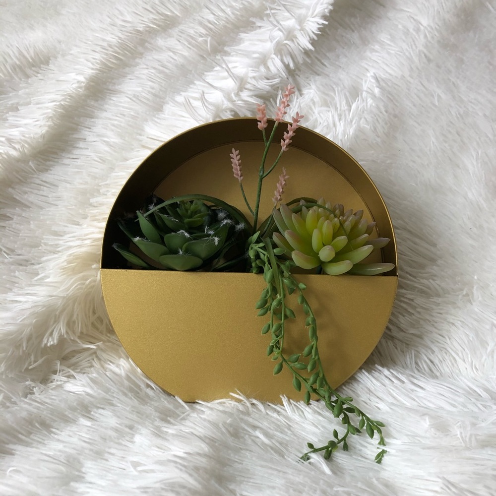 Succulent garden wall hanging plant decor